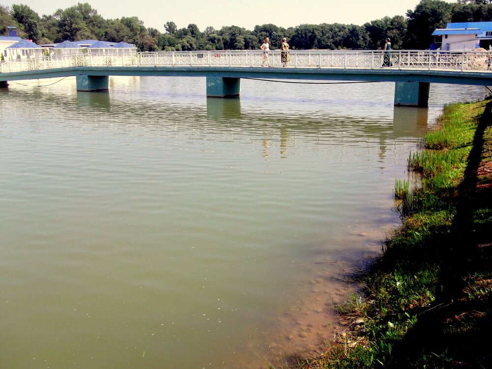 DSCF0789.JPG