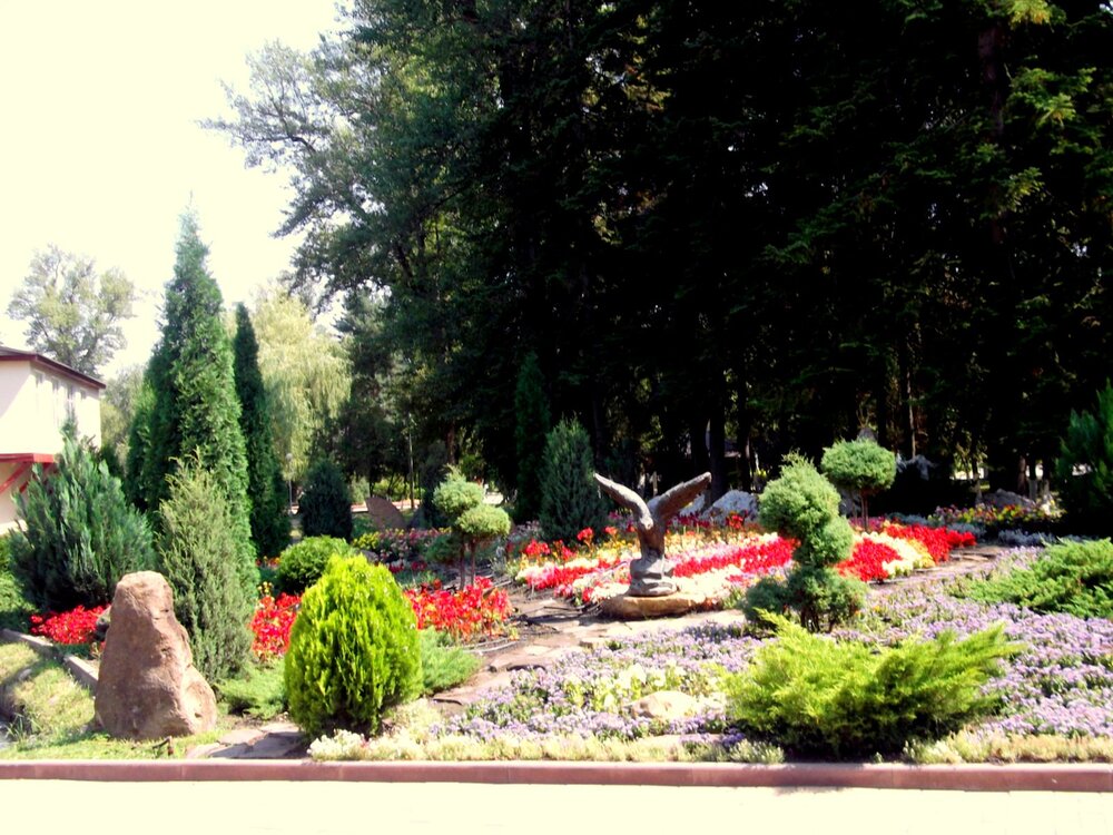 DSCF0793.JPG