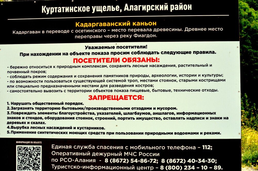 DSC_0410 (2).JPG