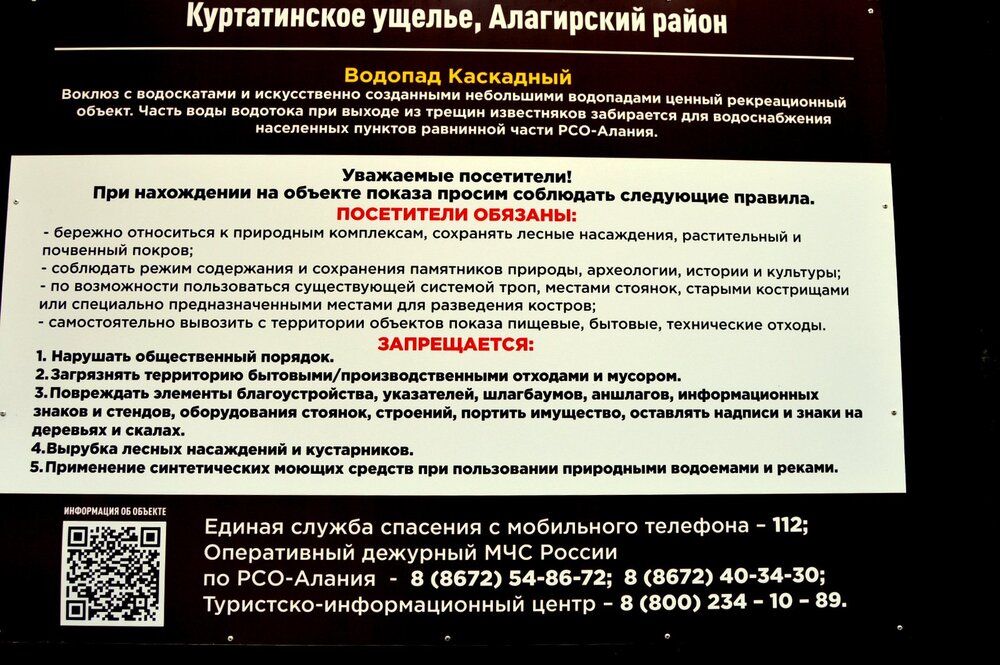 DSC_0408 (2).JPG