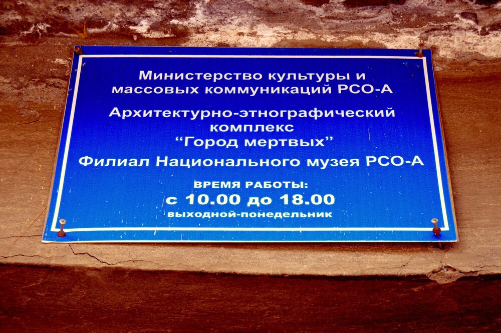 DSC_0484.JPG