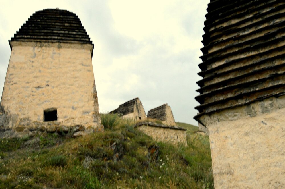 DSC_0529.JPG