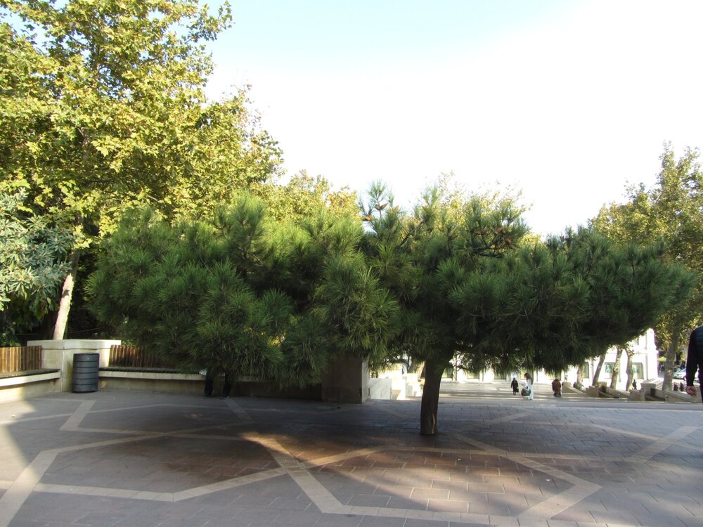 IMG_8426.JPG