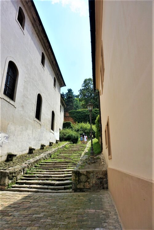 Нови-Сад крепость3.jpg