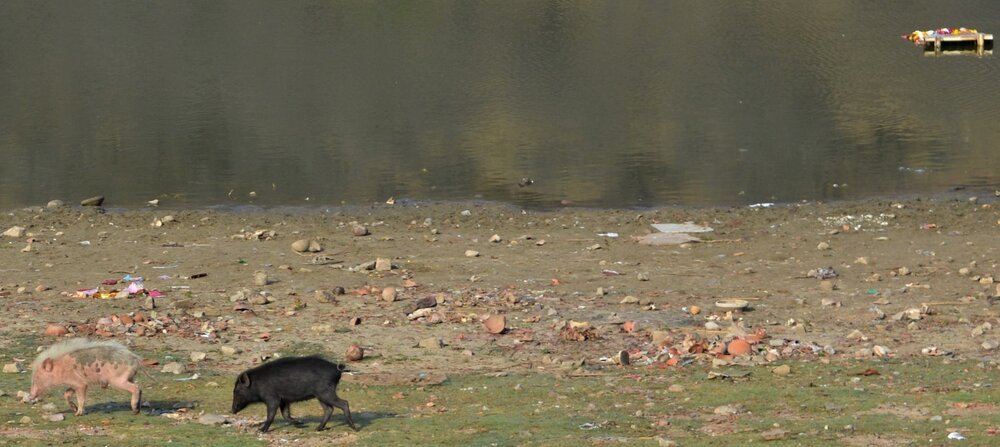 DSC_0086 — копия.JPG