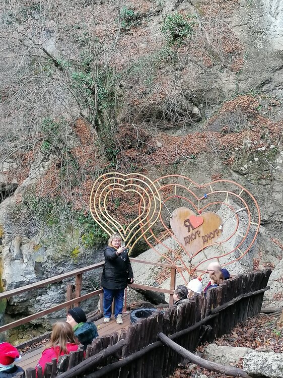 IMG_20210106_124551 (1).jpg