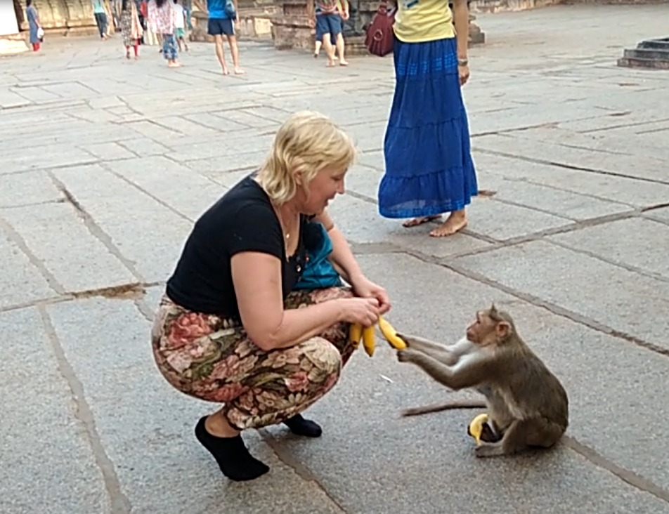 Хампи обезьяна забирает у меня банан.png