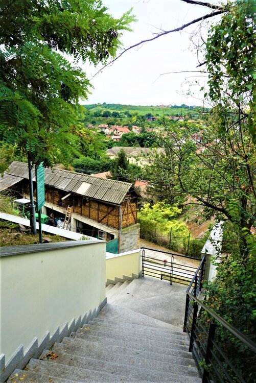 2 день дорога обратно с площадки2.jpg