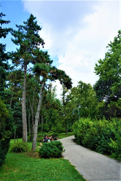 Нови-Сад парк2.jpg