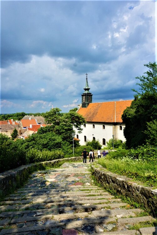 Нови-Сад спуск 1.jpg