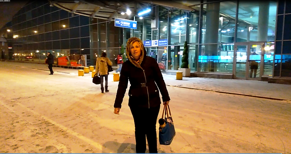 Аэропорт Москва из Дели.png