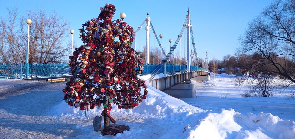 IMG_20210311_165054_1 на Даманский остров.jpg