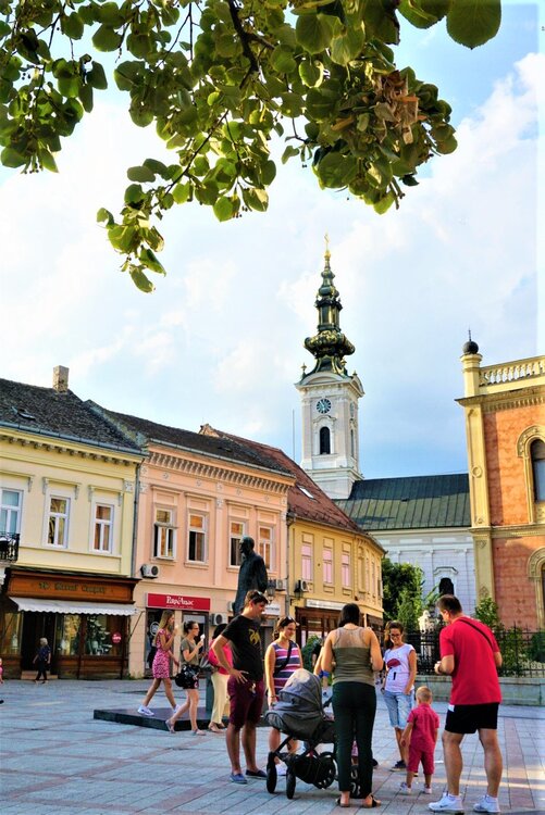 Нови-Сад скамейка2.jpg