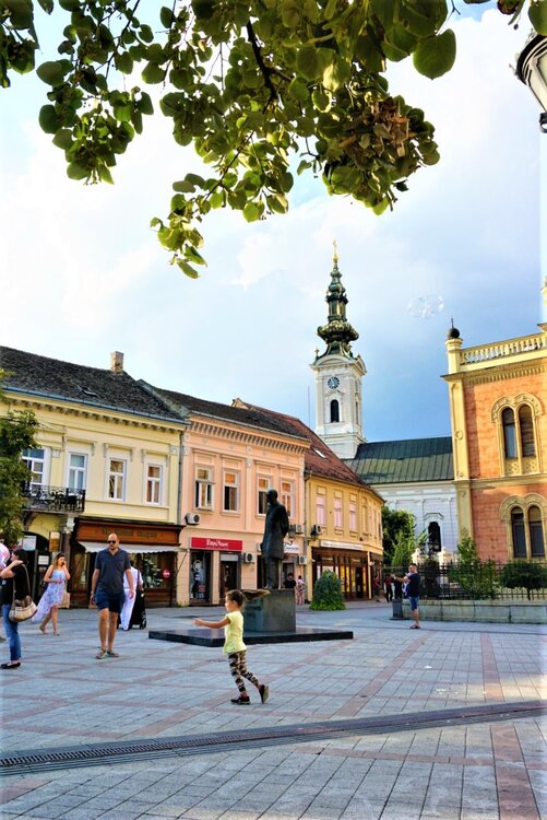 Нови-Сад скамейка1.jpg