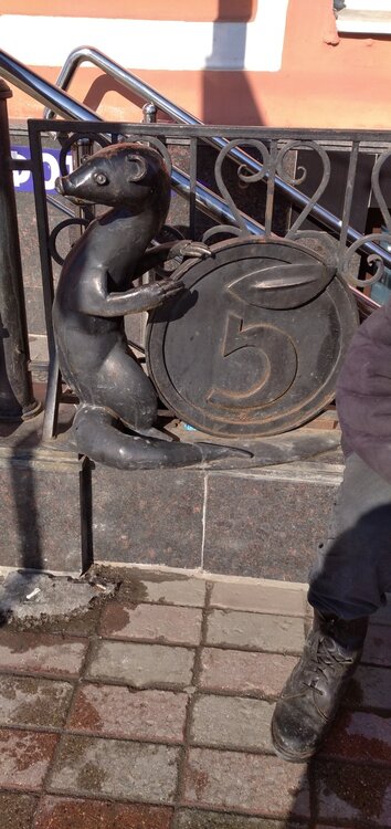 IMG_20210311_131049 выдра.jpg