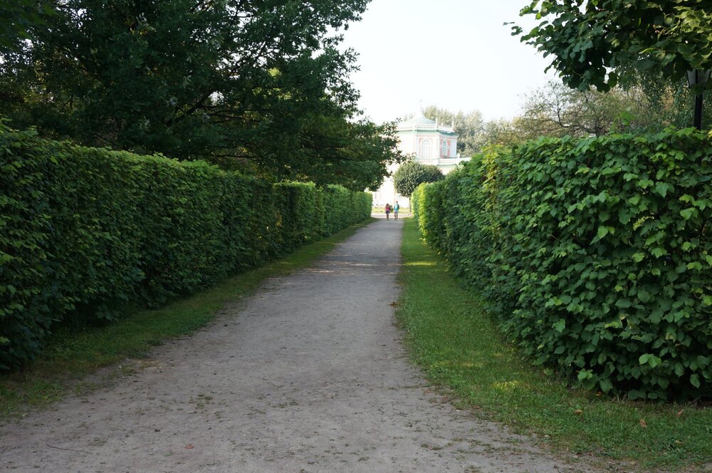DSC07957.JPG