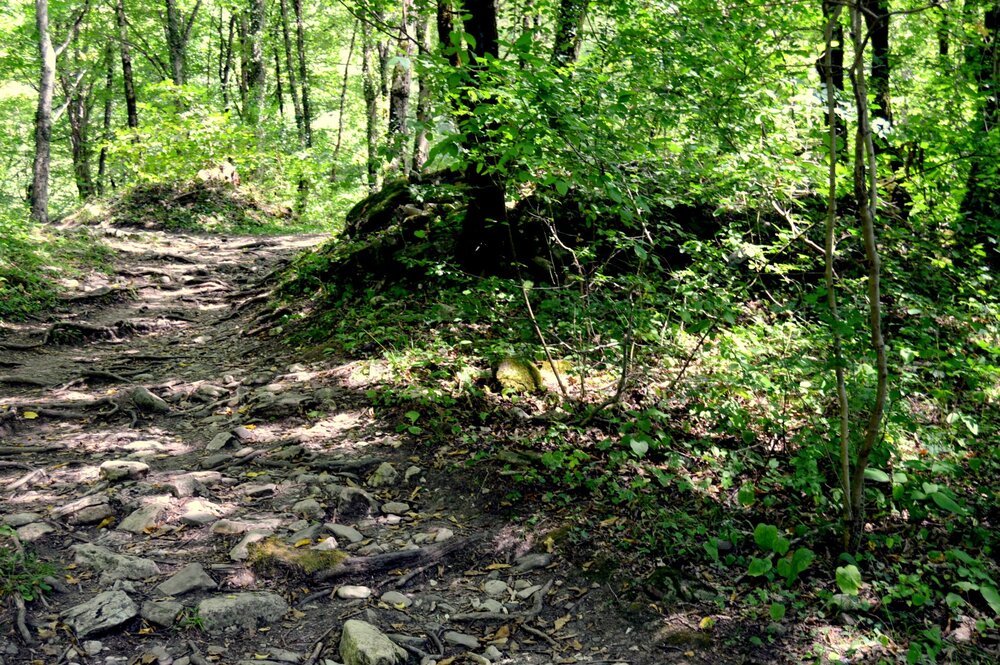 DSC_0082.JPG