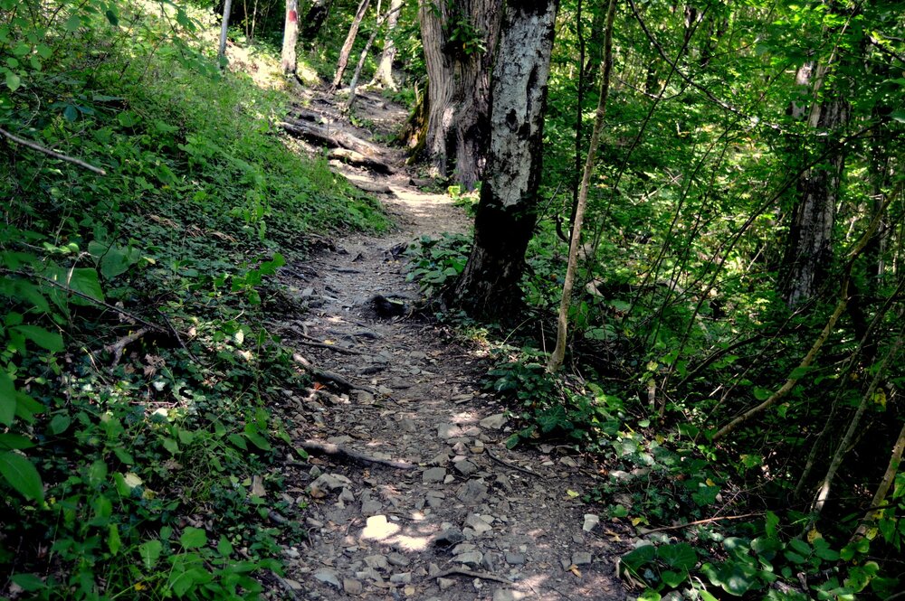 DSC_0086.JPG