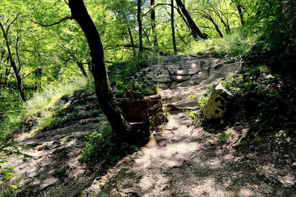 DSC_0110.JPG