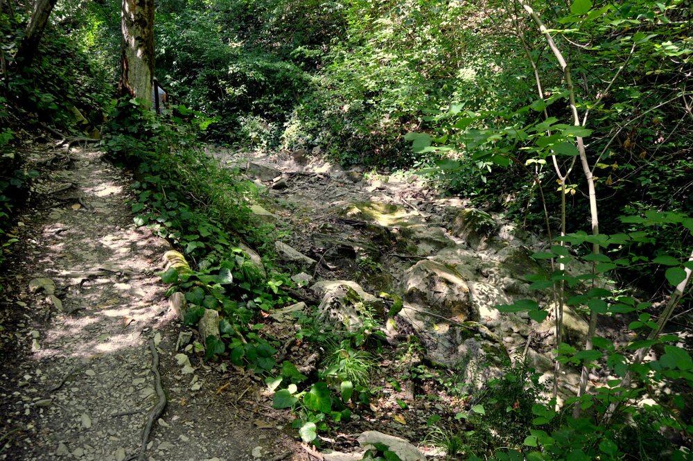 DSC_0111.JPG
