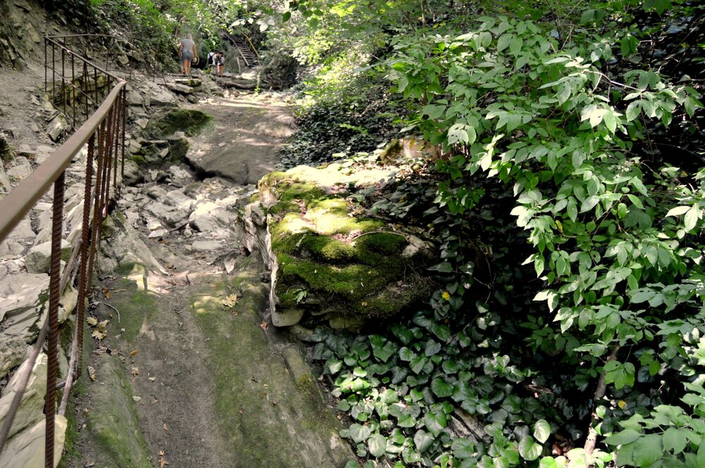 DSC_0114.JPG