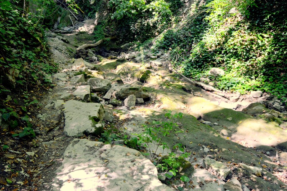 DSC_0116.JPG