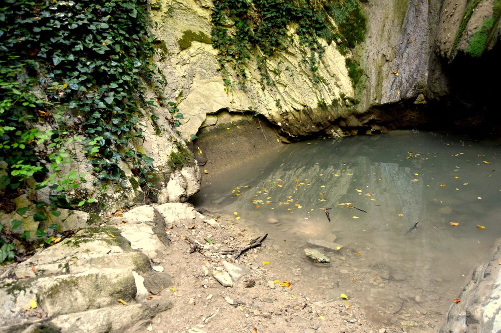 DSC_0122.JPG