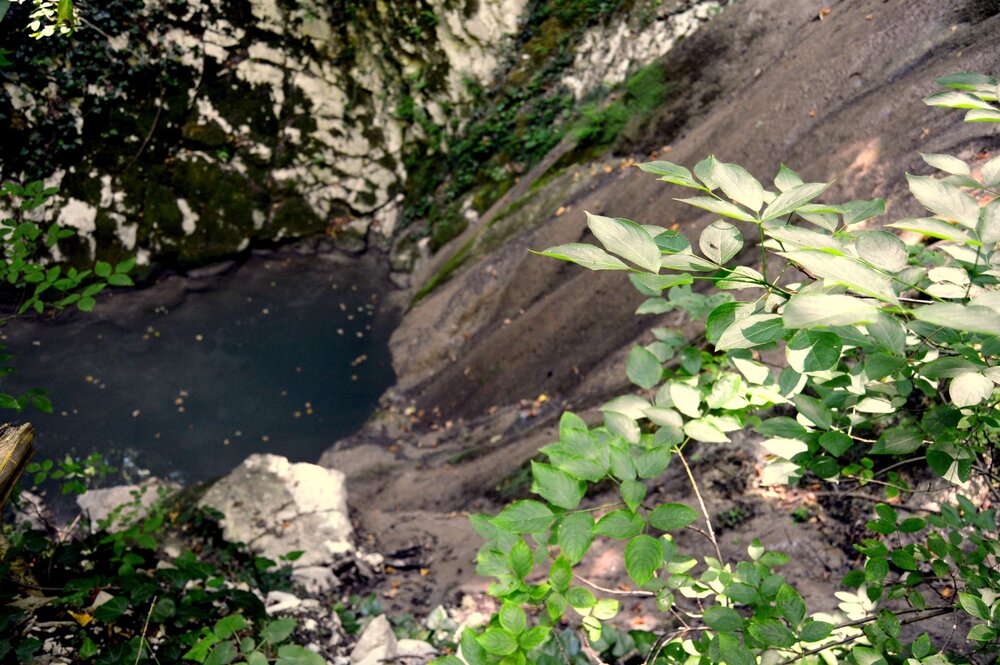 DSC_0137.JPG