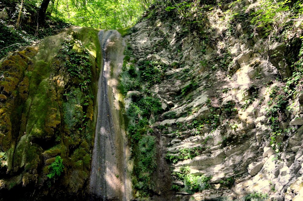 DSC_0165.JPG