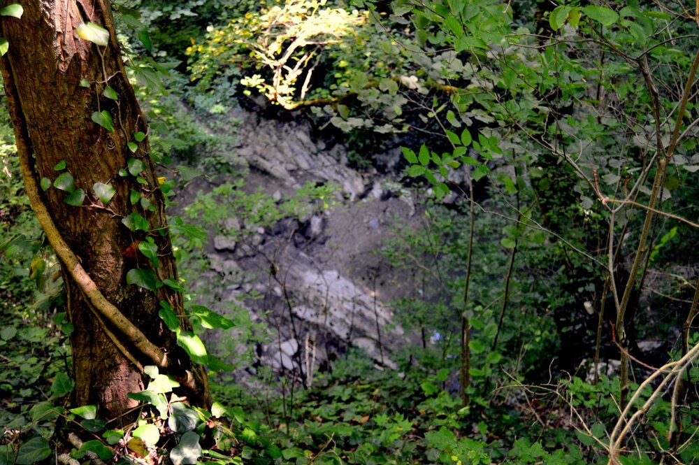 DSC_0167.JPG