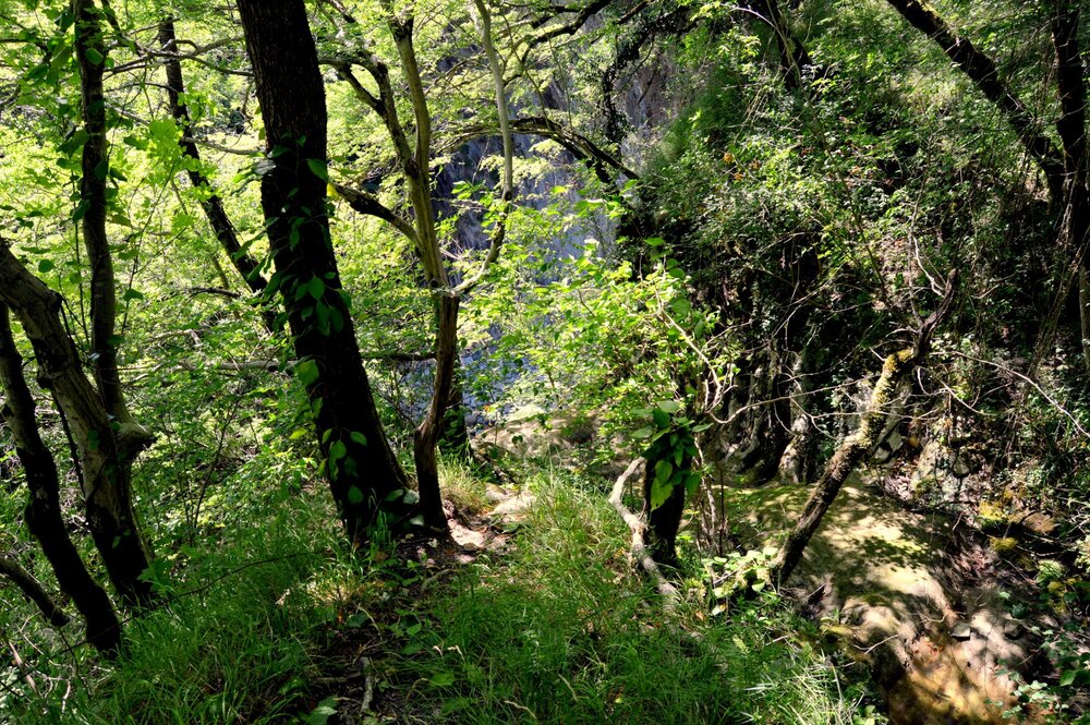 DSC_0170.JPG