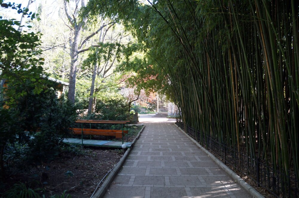 01_Никитский сад_11.JPG