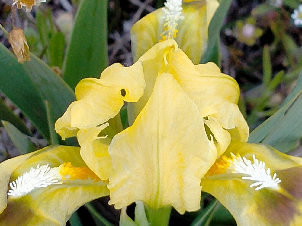 Фото крыма 2326.jpg