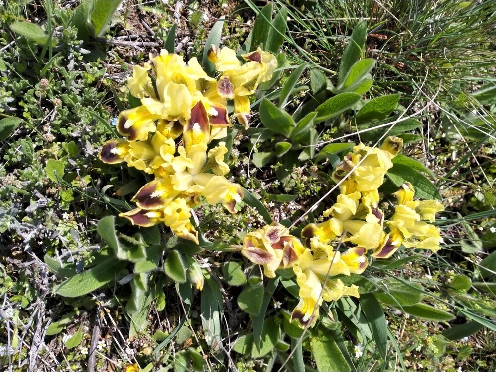 Фото крыма 2313.jpg