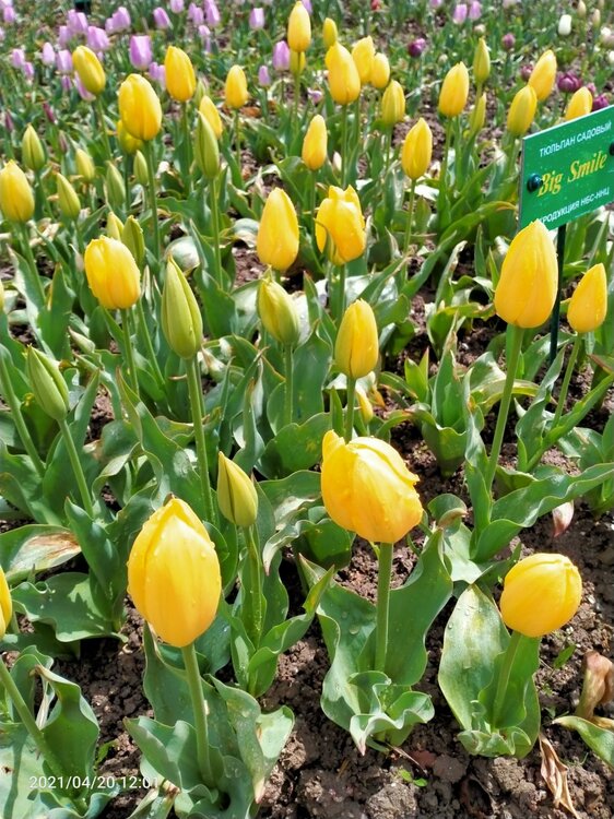 Фото крыма 1618.jpg