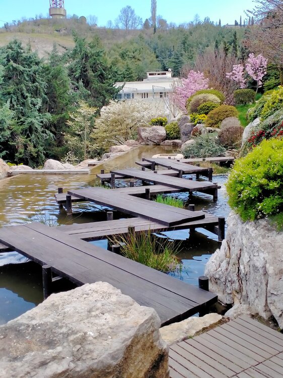 Фото крыма 1962.jpg