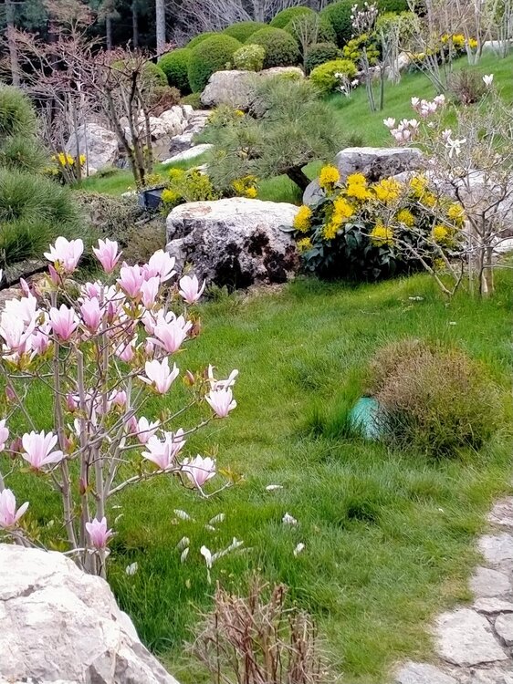 Фото крыма 2021.jpg