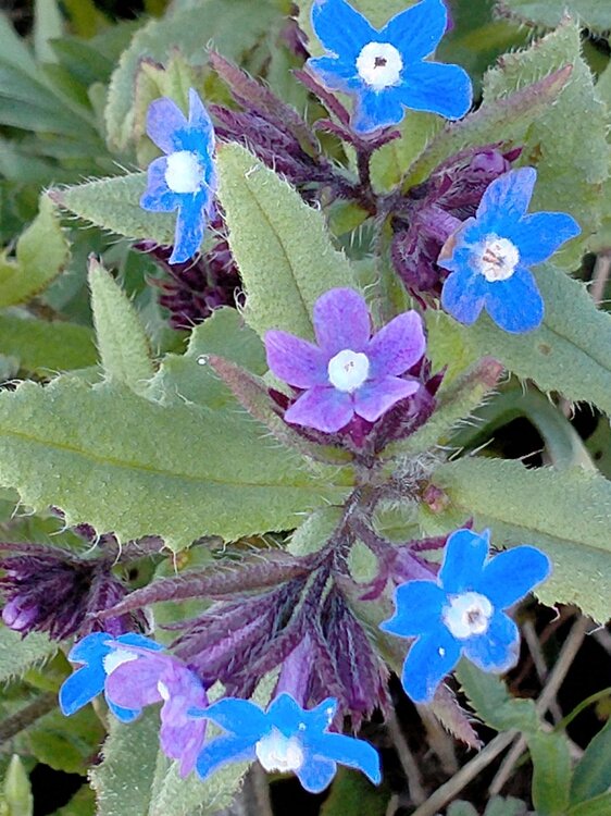 Фото крыма 2218.jpg