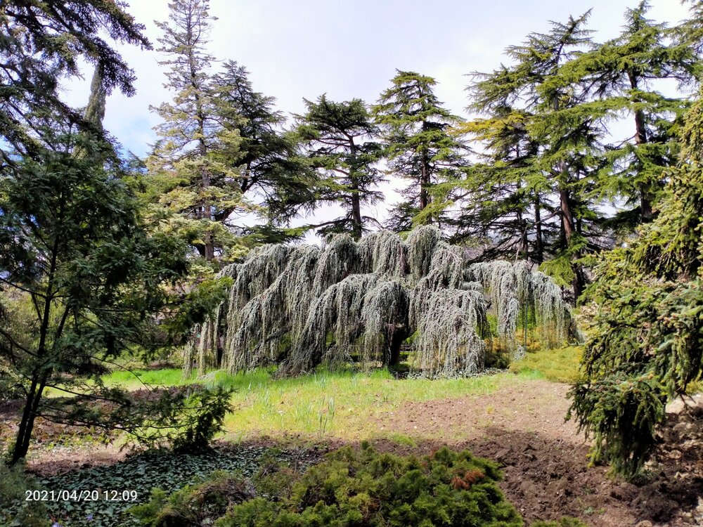 Фото крыма 1643.jpg