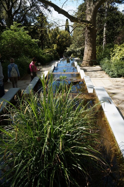 01_Никитский сад_28.JPG