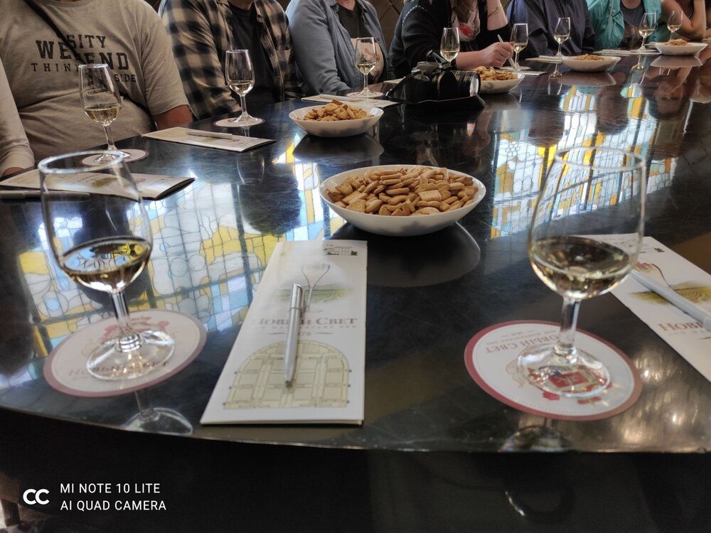 29_Дегустация Новый Свет_18.jpg