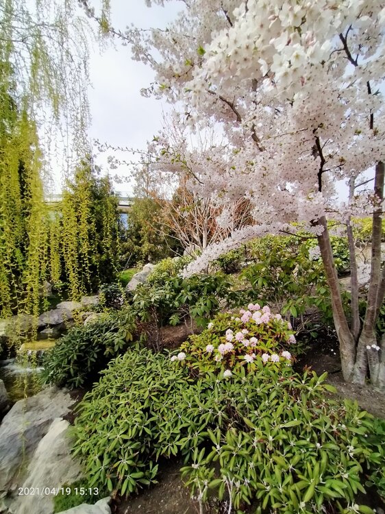 Фото крыма 1280.jpg