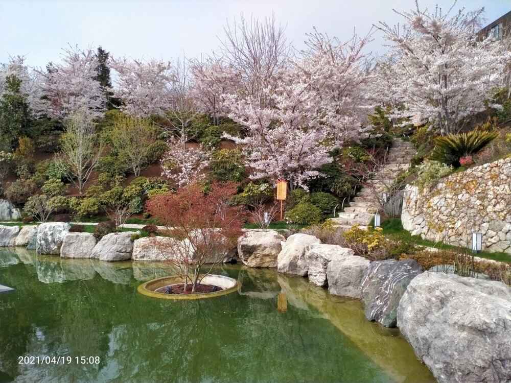 Фото крыма 1262.jpg