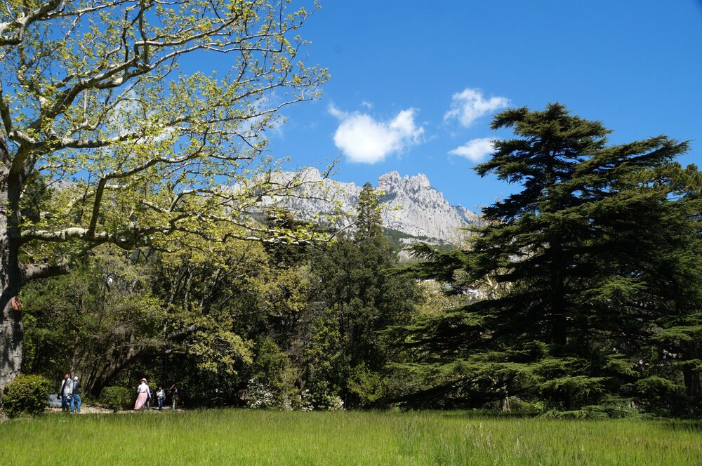 19_Воронцовский дворец_41.JPG