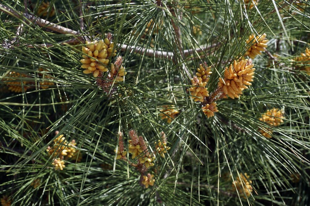 29_Дегустация Новый Свет_04.JPG