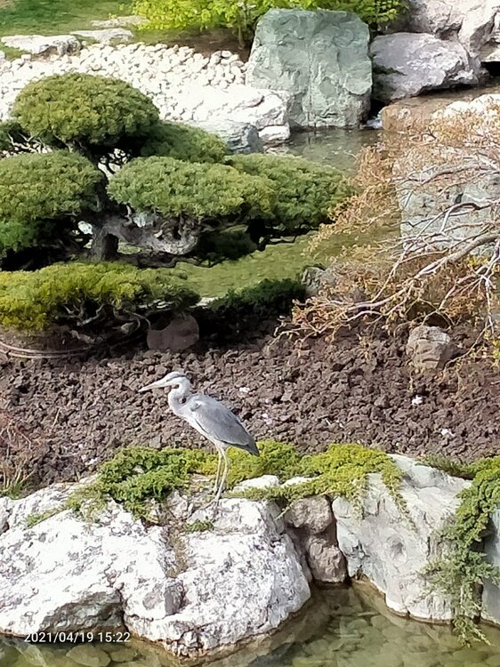 Фото крыма 1302.jpg