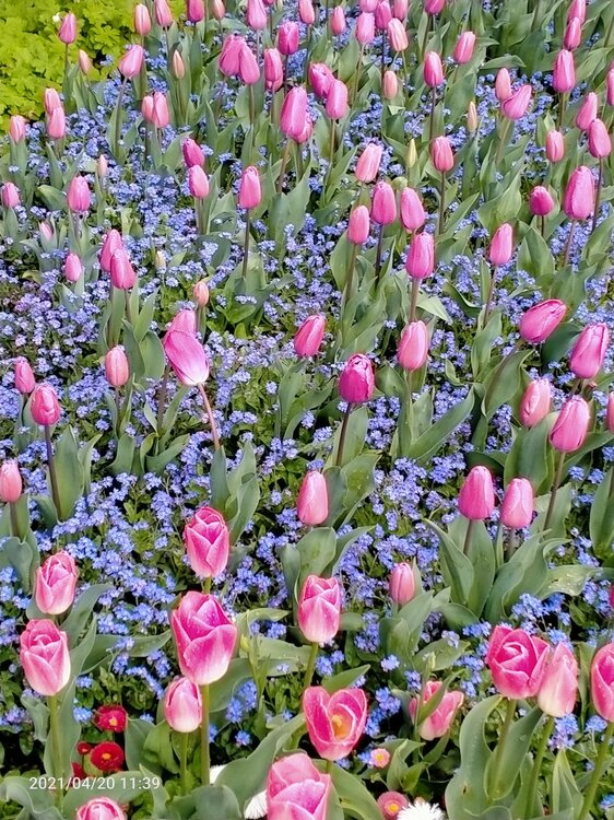 Фото крыма 1548.jpg