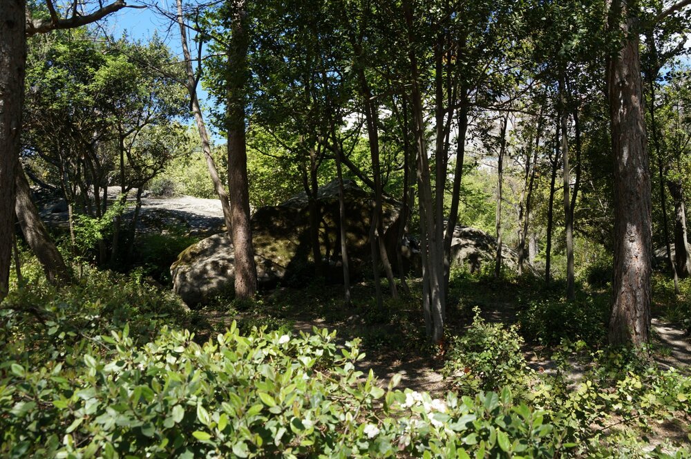 19_Воронцовский дворец_32_3.JPG