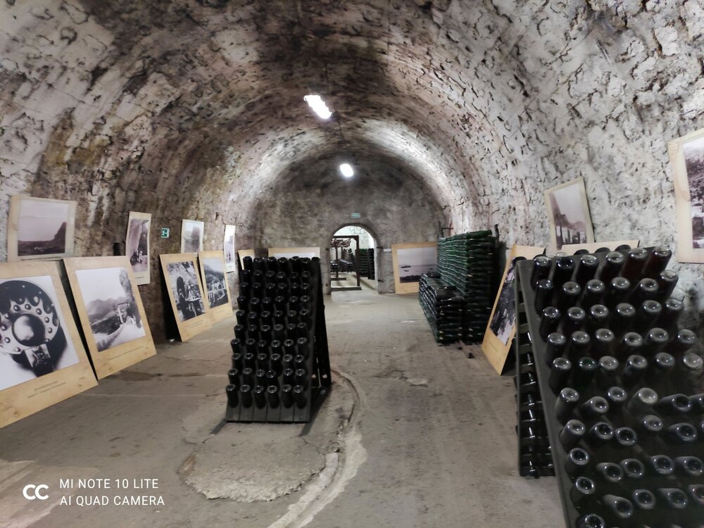 29_Дегустация Новый Свет_13.jpg