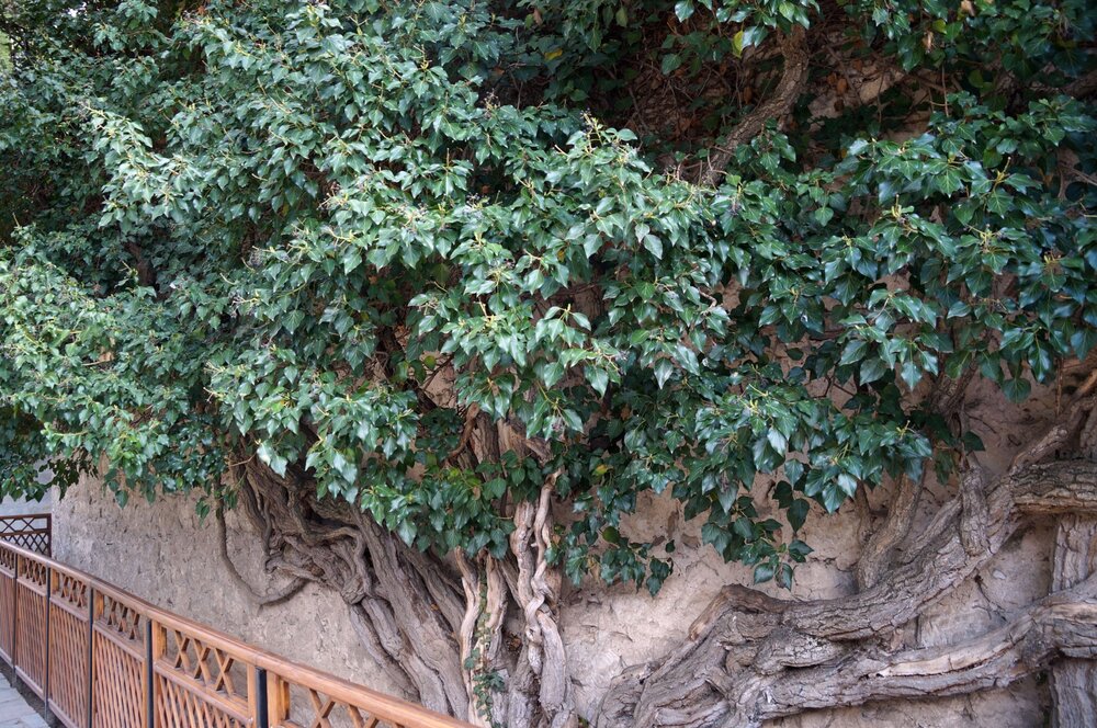 05_Ханский дворец_18.JPG